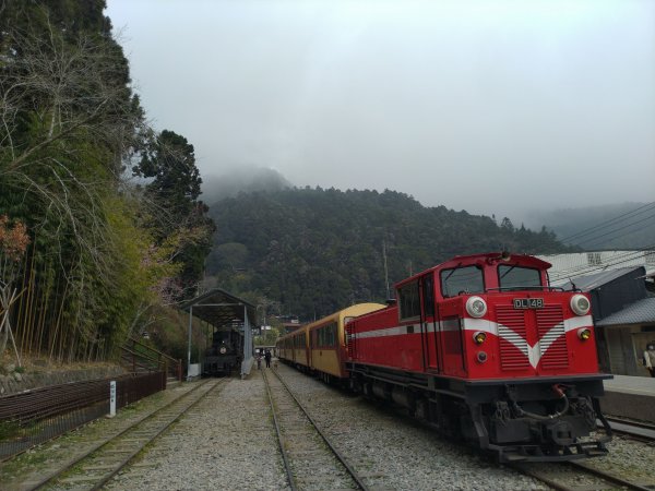 2023-03-04 奮起湖奮起步道2057749