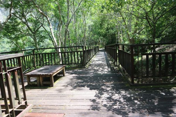 〔花蓮〕布洛灣吊橋+伊達斯步道+環流丘步道。一次走好走滿的布洛灣壯麗景觀步道2266420