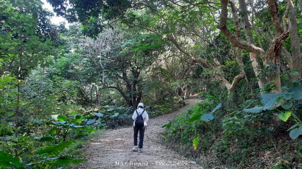 《彰化》卦山少林｜花壇西來園（銀行山）登山步道202412012657889