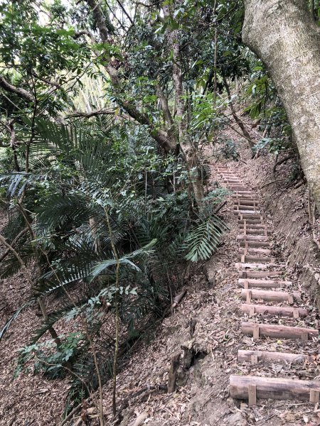 烏山嶺水利古道1610018