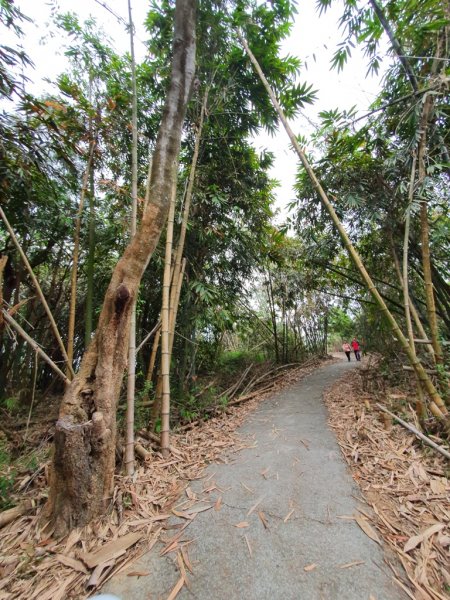 步道巡訪員│龍過脈步道3月巡訪日誌872337