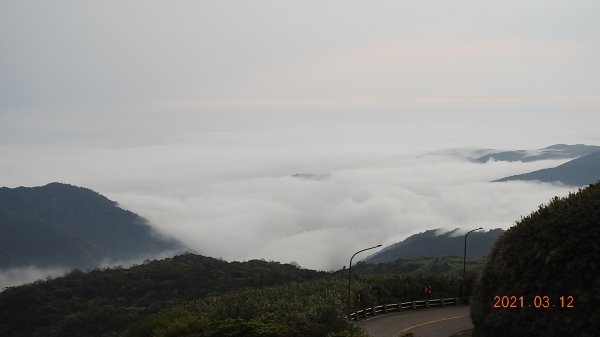 3/12&17陽明山追雲趣再見雲瀑&雲海1302459