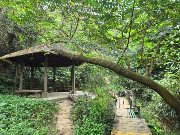 大社觀音山十三連峰環形2924418