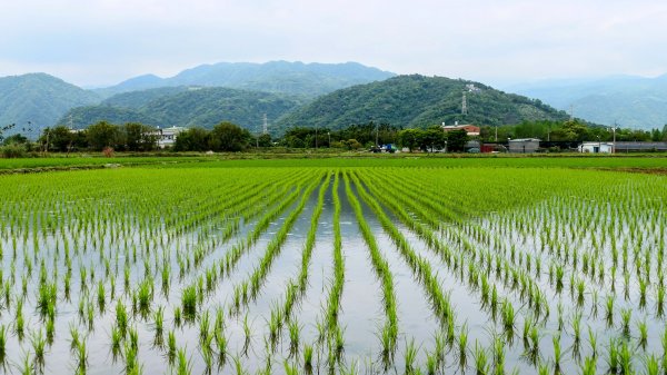 北后寺。關稅戰2758753
