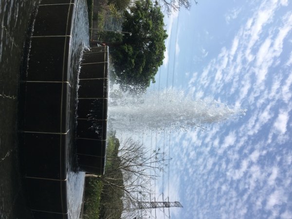 福氣步道、養生步道、長庚養生文化村2441869