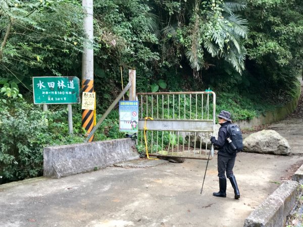 水田林道走蓮包山上外鳥嘴531753