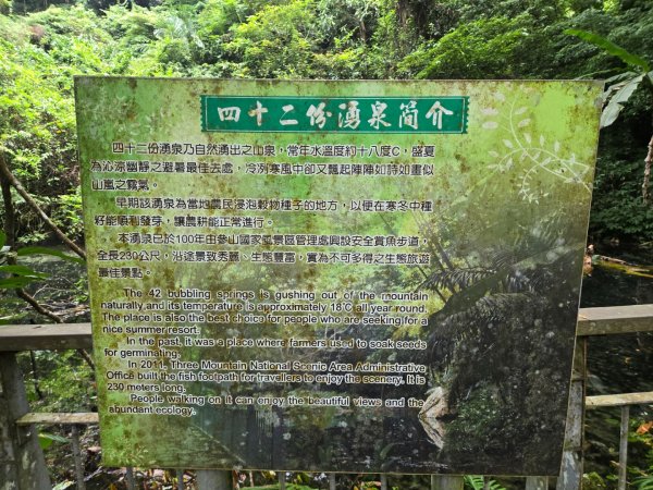 四十二份坪步道3127336