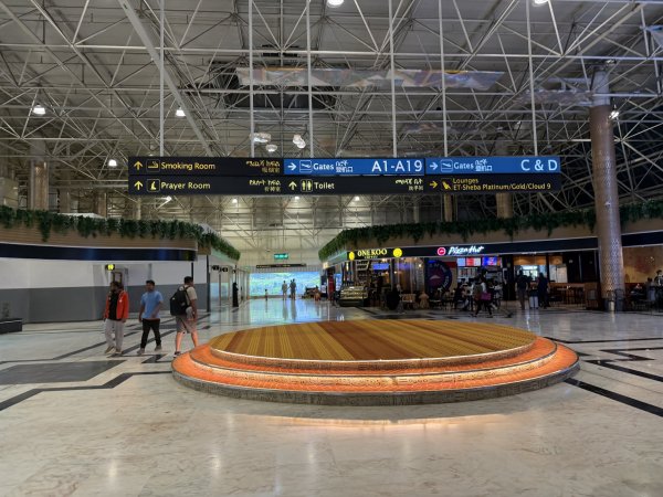 [紐約馬之行-75完] 2025_1117 過境阿的斯阿貝巴2957255