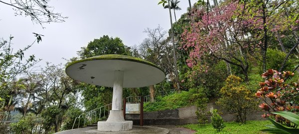 2026/03/01-紅淡山步道3010052