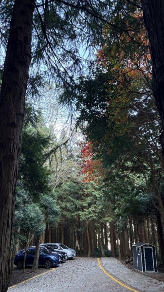 再也不爬囉（告別20252973148