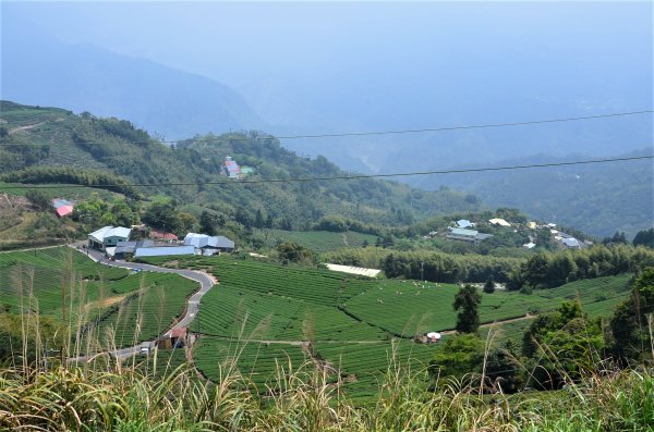 後棟仔山 & 雲嘉大尖山1378311