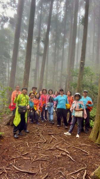 清泉 雪霸農場 野馬瞰山2925924