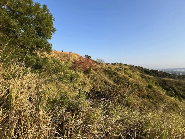 知高圳步道2711630
