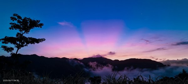 跟著雲海達人山友追雲趣 #草莓月亮 #月圓雲海 #霞光 #日出雲海 #茶園 6/112808767
