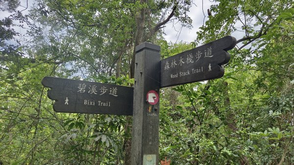 (姨婆趴趴走)第五十五集:攀登健走台北大崙頭尾山親山步道環狀一圈2853758