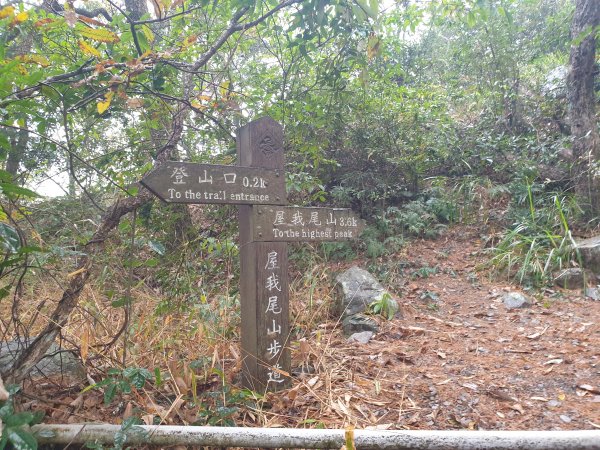 麗陽上屋我尾山2683101