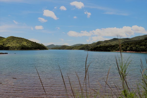 HK - 牛屎湖1046161