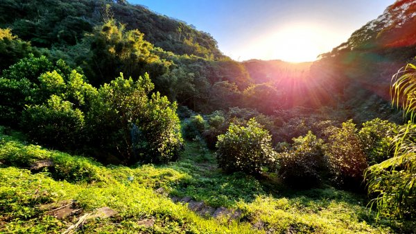 四獸山大縱走（虎山，豹山，獅山，象山），林口太平濱海步道，桃園龜山（貴山，龜山頭山），老坑溪步道1964729