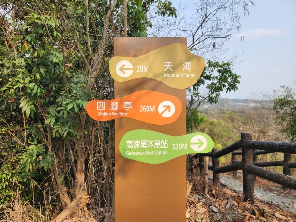 小百岳No.75⛰觀音山3025139