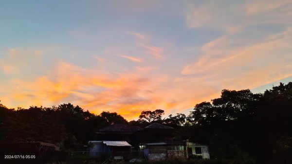 雲山水花鳥蝶 - 天龍國阿伯的日常7/162551876