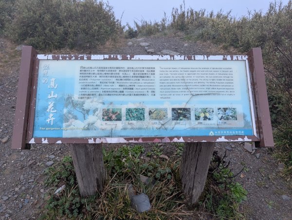 合歡山主峰3048400