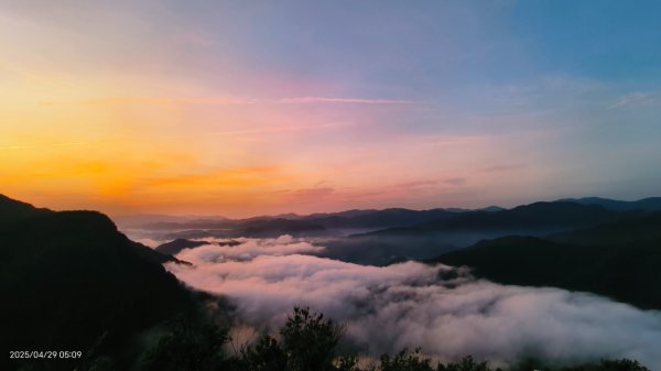 翡翠水庫壩頂 #火燒雲雲海 #日出雲海 #鱷魚島 #藍腹鷴 4/292772675