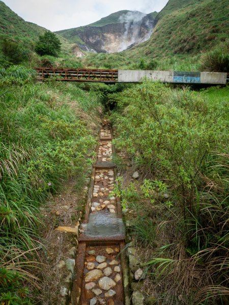 【行腳陽明山】初夏裡蒼翠欲滴的環七星山與百拉卡公路人車分道2188666
