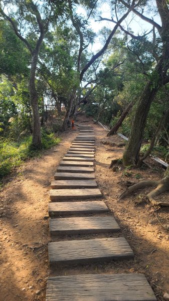 2026-0118新竹新埔文山步道2984649