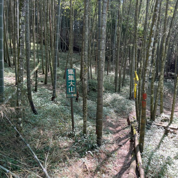 20250822_集集大山（南投小百岳）2941197