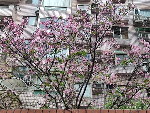 台北漢來大飯店、宏匯瑞光廣場、大港墘公園2754546