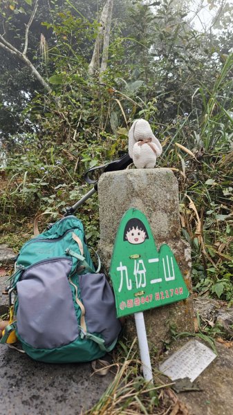 【登頂小百岳；見證九二一】解鎖第57座小百岳，編號047九份二山 🏔️