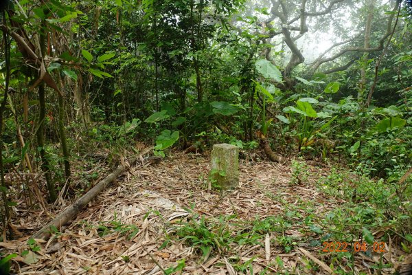 臺南 龍崎 烏山頭山(龍船窩山)1663629