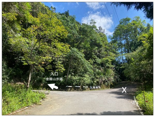 槌仔寮山、槌仔寮山西南峰、金龍山步道 連走2846692