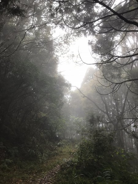 麥巴來山O型之霧895692