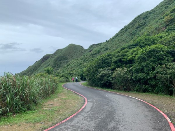 新北｜瑞芳 無耳茶壺山步道1488118