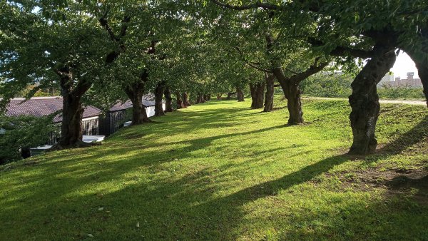 北海道五陵郭公園769668