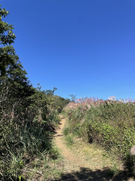 千島湖周邊步道2936031