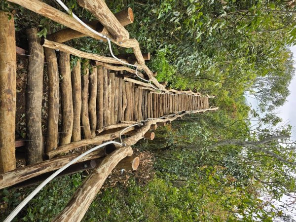 台中大坑4號登山步道2751081