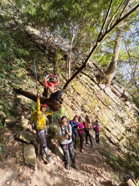 【谷關七雄】波津加(H1771.6m)肉腳配速成功2670616