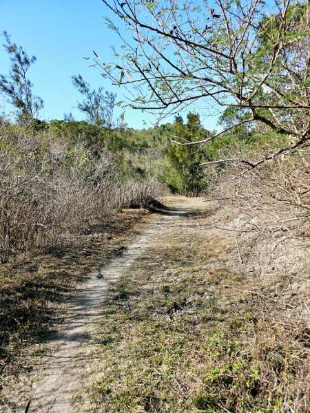 大山母山-小百岳#81-屏東縣恆春鎮2731507