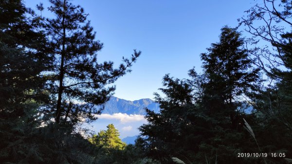 大雪山神木&天池715484