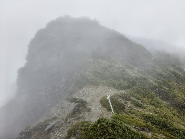 北一段(06/14)巴巴山 2025_0906~132886717