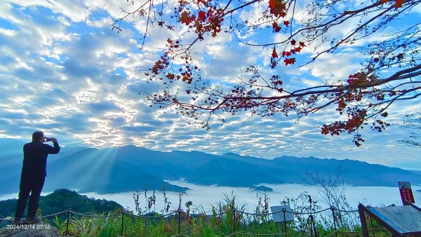 二訪馬拉邦山，解鎖 #琉璃光雲海 #日出雲海  #血月 #斜射光 #楓葉紅了！2668618