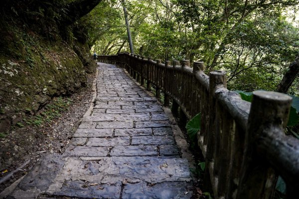 滿月圓森林步道2870091