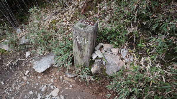 雪山主東峰登山健行趣(百岳02號＆74號)1882503