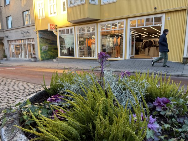 [紐約馬之行-23] 2025_1104 晚上的彩虹街2946790