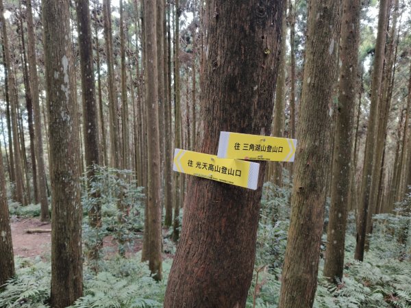 向天湖山11501252988134