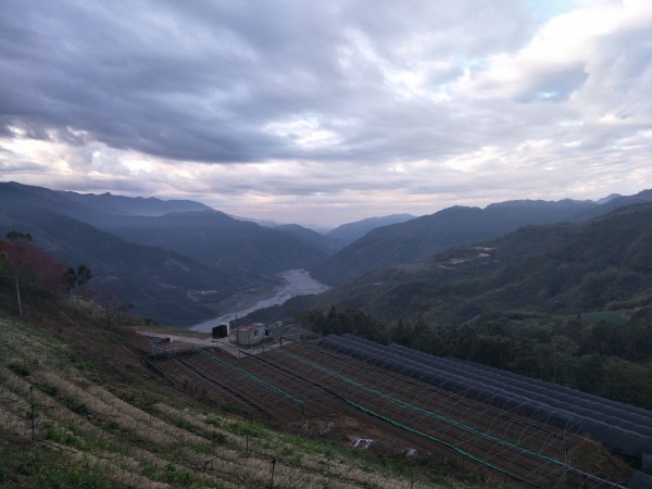 2018 01 27 東洗水山步道255699