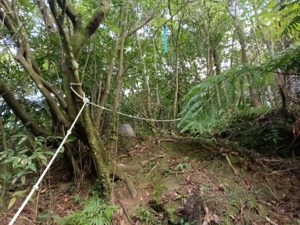 平溪區石古井古道(新路徑)+青林山+盤山坑古道O型2893263
