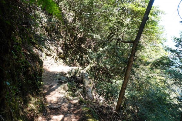 1090413中之關天池-初嚐梅子雞940905